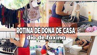 ROTINA DE DONA DE CASA Organizei toda a casa + fiz janta + cuidando de pets. #rotinadedonadecasa