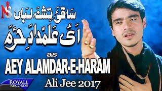 Ali Jee  Aye Alamdar E Haram  2017  1439