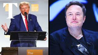 Donald Trump to appoint Elon Musk head of efficiency commission