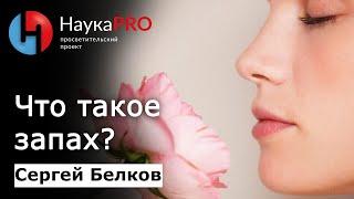 Что такое запах и обоняние?  Лекции по химии – химик-флейворист Сергей Белков  Научпоп