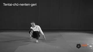 Tentai chu nenten geri