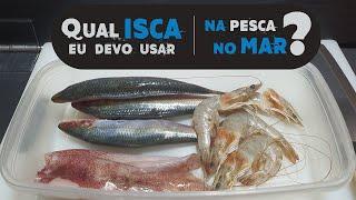 Melhores iscas para pesca no mar