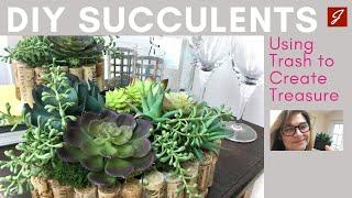 DIY Succulents for Wine Bar - Using Trash to Create Treasure