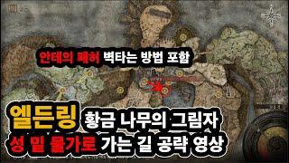 앨든링 그림자의 성 아래 계곡으로 가는법 안테의 폐허 들어가는법 #엘든링 #그림자의성 #안테의폐허