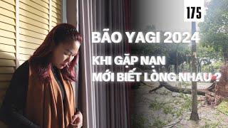 Khi gặp nạn mới biết lòng nhau? Bão 2024  Live 175