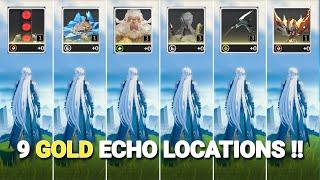 ALL 9 Locations to Get GOLD ECHO   Wuthering Waves 