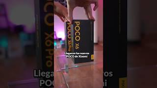 Los POCO X6 y X6 Pro comparten cámaras tecnología de carga rápida #xiaomi #pocox6 #pocox6pro