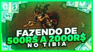 Como fazer 500 reais a 2 mil reais por mês com Tibia em poucas horas l Tibia Papo