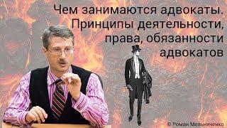 Чем занимаются адвокаты. Принципы деятельности права обязанности адвокатов.