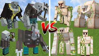 IRON GOLEM vs ILLAGER AT EVERY AGE  Minecraft Mob Battle