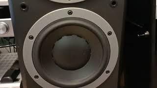 Dynaudio dm 37