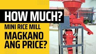 HOW MUCH is a Mini Rice Mill Machine