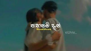 Thahanam Dan  තහනම් දැන්  Slowed+Reverb