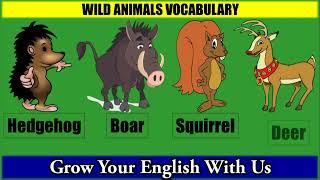 English Vocabulary for Wild Animals with Stunning Visuals