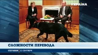 Немецкое издание Фокус назвало Владимира Путина собакой