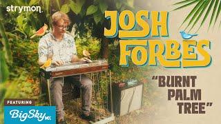 Strymon Engineer Josh Forbes Performs Burnt Palm Tree  Omnichord Pedal Steel & BigSky MX