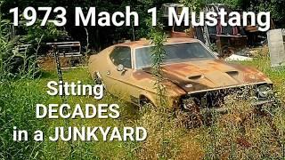 Will it run? A 73 Mustang Mach 1 fastback waiting in a junkyard for decades