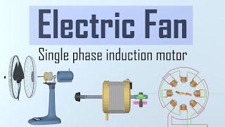 How does a fan work ?  Single phase induction motor