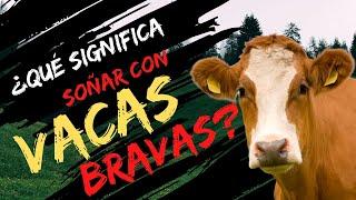 Qué significa soñar con vacas bravas?