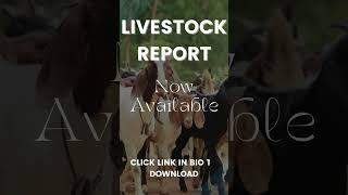 Livestock Report