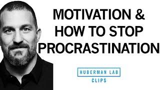 How to Stop Procrastination & Increase Motivation  Dr. Andrew Huberman