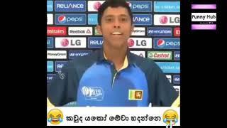Sri lanka cricket sri lanka cricket meme sinhala  cricket funny  Sl cricket  Funny hub