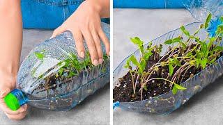 Unusual Hacks For Growing Plants Anywhere   Gardening Tips & Hacks For Beginners 