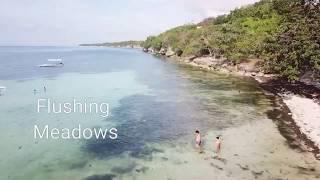 Flushing Meadows Dao Dauis Bohol