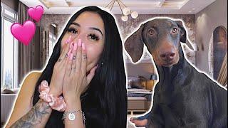 SURPRISING MY GIRLFRIEND WITH ANOTHER DOBERMAN