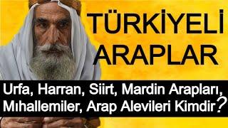 ARAPLAR KİMDİR  Urfa Mardin Siirt Arapları Mıhallemiler Arap Alevileri Kimdir  Türkçe Belgesel 