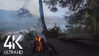 4K Campfire at the Mountain Lake with Calming Crackling Fire Sound - 8 Hours