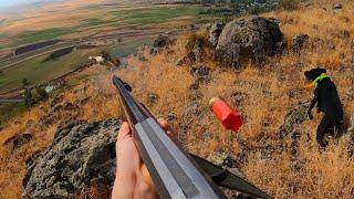 DAĞLARDA İNGİLİZ POİNTER ARES İLE MUHTEŞEM BİR KINALI KEKLİK AVI. Partridge Hunt WITH HUNTING DOGS