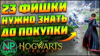 Hogwarts Legacy 23 вещи которые НАДО ЗНАТЬ ПЕРЕД ПОКУПКОЙ игры Мультиплеер Звери Компаньоны Мир