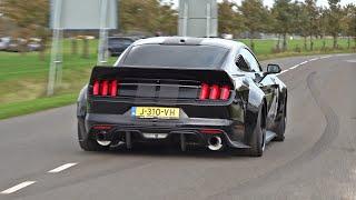 BEST OF FORD MUSTANG SOUNDS Shelby GT500 Alphamale Widebody GT350 RTR Widebody Royal Crimson GT