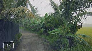 ASMR to Make you Fall Asleep Fast  Monsoon Footage India  Our Rain Walks Compilation