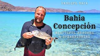 Bahia Concepcion Baja Beautiful Beach Camping Kayaking & Spearfishing Vanlife Baja Adventures