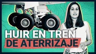 ️ MUERTE y sobrevida ¿huir de Cuba en el TREN de ATERRIZAJE de un avión?