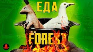 ЧЕМ ПИТАТЬСЯ В THE FOREST? ВСЯ ЕДА