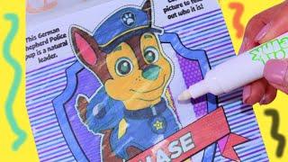Paw patrol Ink Coloring and Activity Notebook with Chase & Skye