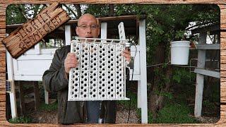 Incubating Quail Eggs In Chicken Egg Turner