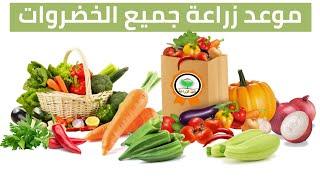 موعد زراعة الخضروات  مواعيد زراعة الخضروات