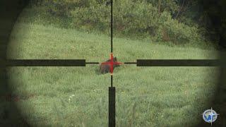 Подборка лучших выстрелов охота на кабана Бонусрецепт бургера Boar Hunting best shot compilation