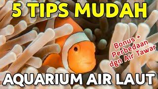 5 Tips Merawat Aquarium Air Laut