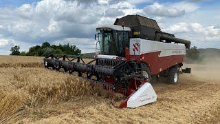Уборка озимой пшеницы 2021  Ростов снова прибыл к нам  ACROS 585