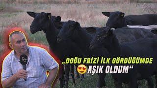 Doğu Frizi İlk Gördüğümde Aşık Oldum - Çobanın Sesi