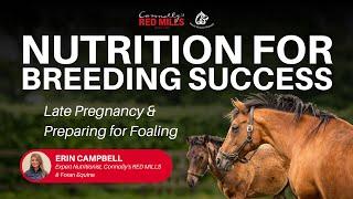 Nutrition for Breeding Success Late Gestation & Preparing for Breeding