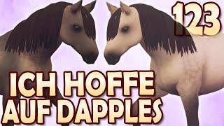 Endlich Dapples?  Ranch of Rivershine  123