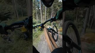 Riding Val di Sole is the Best #downhill #valdisole #valdisolebikeland #mtb #pov