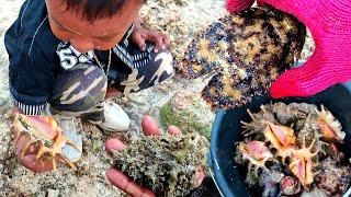 Mencari aneka Seafood bersama Bocil kami menemukan Gurita Kepiting langkah dan banyak kerang