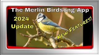 Discover the new features 2024 Merlin Birdsong App Update